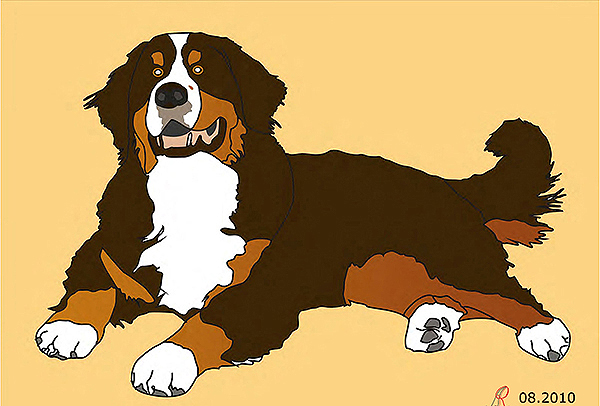 Illustration von Berner Sennenhund